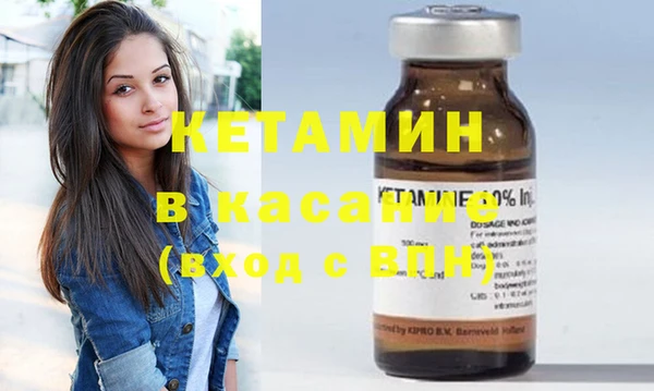 прущие грибы Абаза