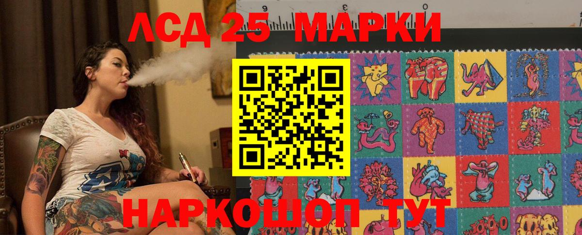 МЕФ Удомля