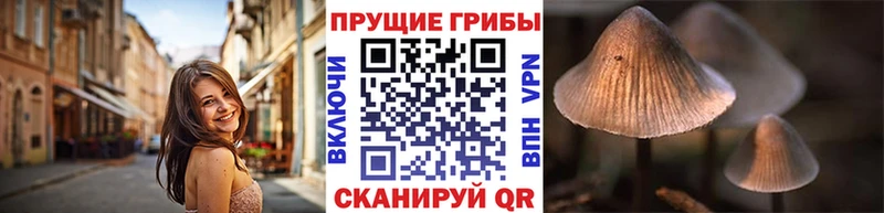 Псилоцибиновые грибы ЛСД  мега ONION  Удомля  даркнет формула  купить  цена 