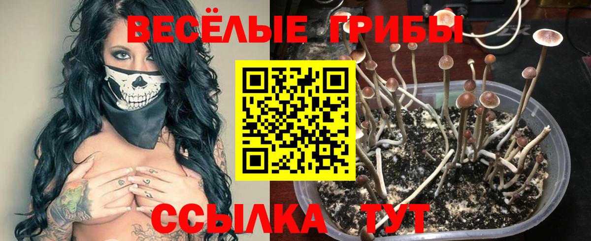 Галлюциногенные грибы Magic Shrooms Удомля